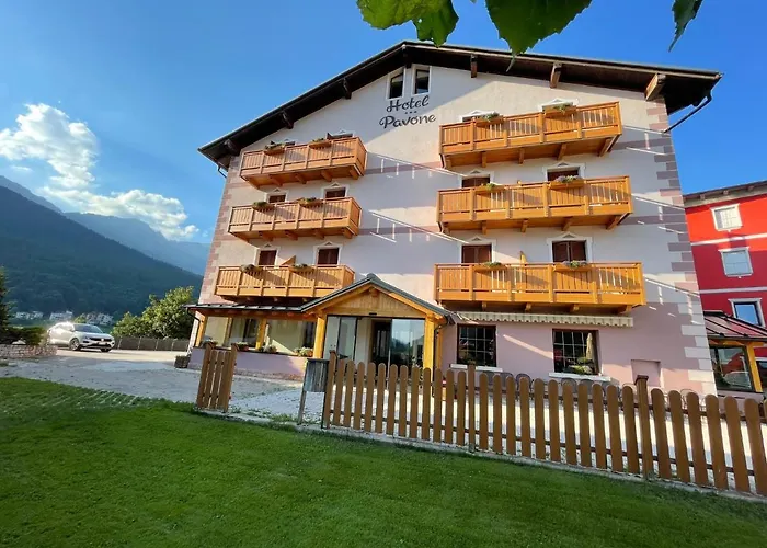 Hotel vicino al College: Hotel Pavone